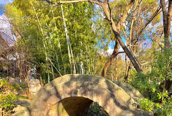 四国村の写真・動画_image_485044