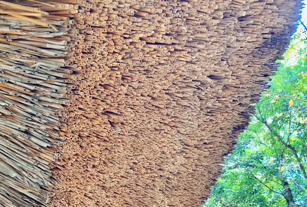 四国村の写真・動画_image_485047