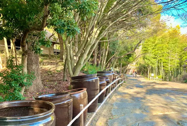 四国村の写真・動画_image_485066