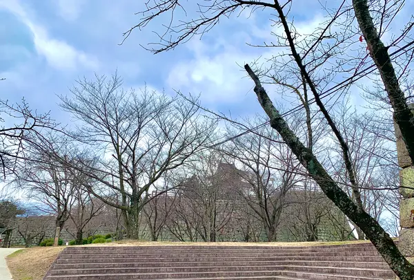 丸亀城の写真・動画_image_485087