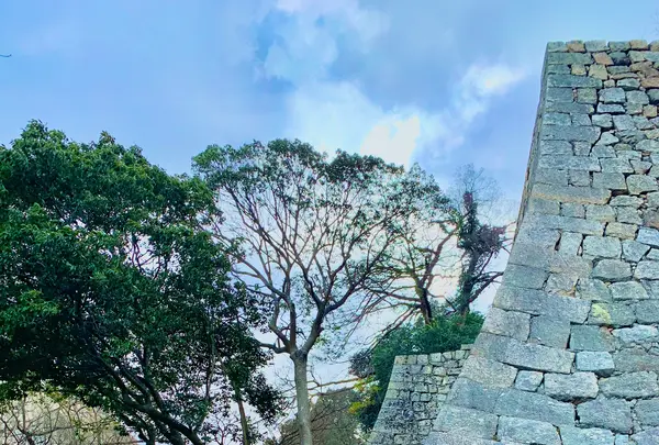 丸亀城の写真・動画_image_485088