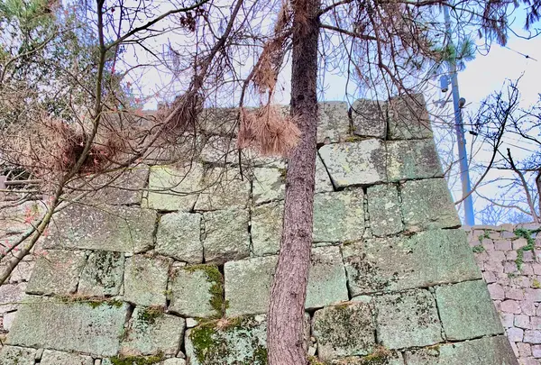 丸亀城の写真・動画_image_485089