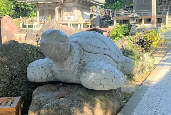 金剛福寺の写真・動画_image_485143