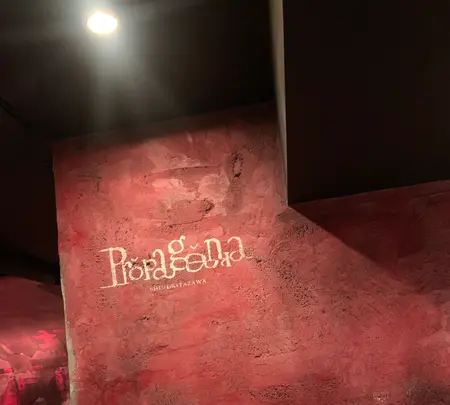 propaganda(プロパガンダ)の写真・動画_image_485264