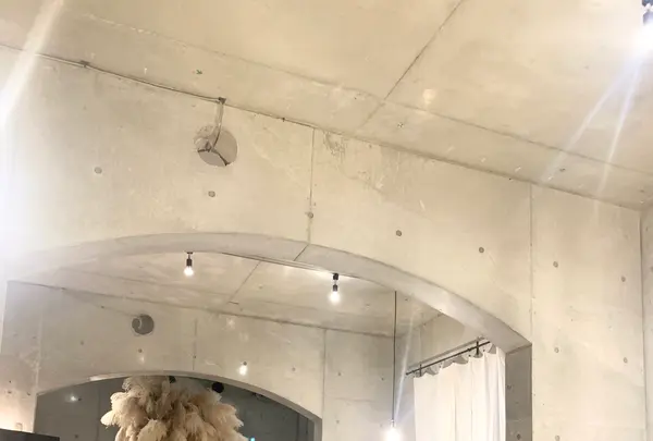 juの写真・動画_image_485287