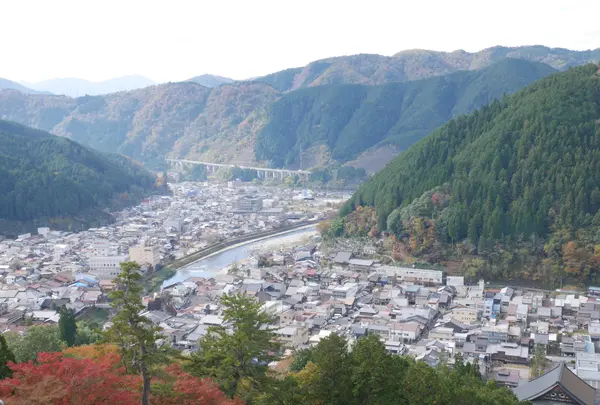 郡上八幡城の写真・動画_image_485381