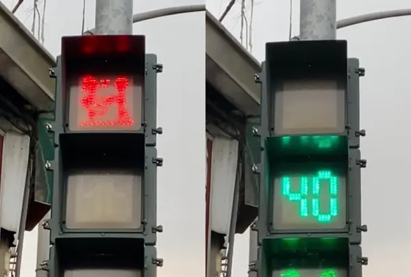 屏東演武場の写真・動画_image_485414