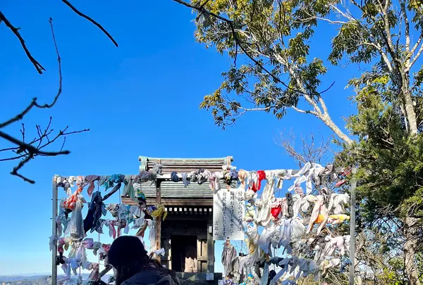 三石山 観音寺の写真・動画_image_485550
