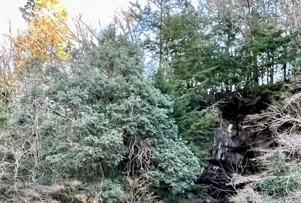 濃溝の滝の写真・動画_image_485551