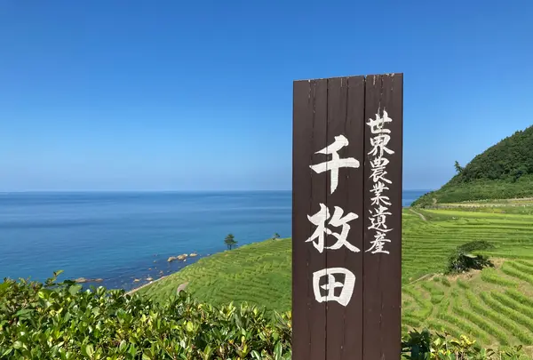 白米千枚田の写真・動画_image_485556