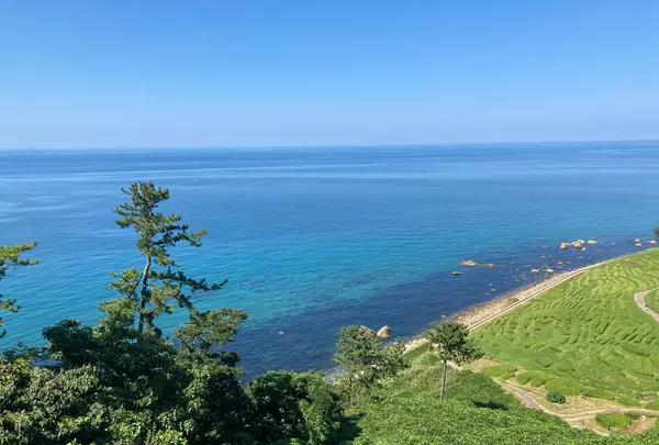 白米千枚田の写真・動画_image_485557
