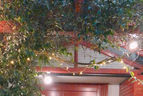 レ シュヴルイユの写真・動画_image_486101