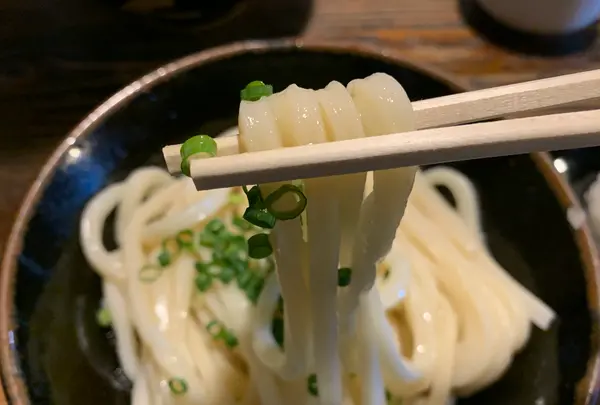ざいごうどん 本家 わら家の写真・動画_image_486268