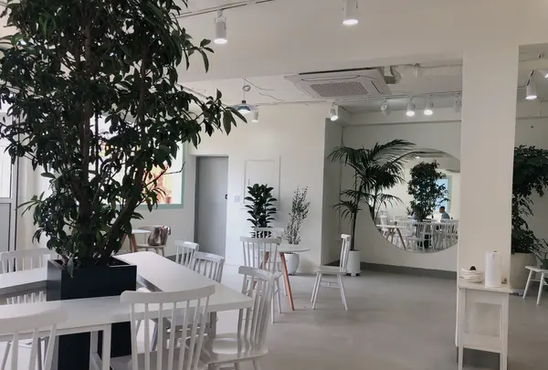 assiette &/アシエット エン/아씨에뜨앤の写真・動画_image_486356