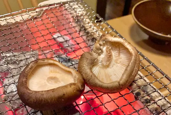 名泉鍵湯 奥津荘の写真・動画_image_486602