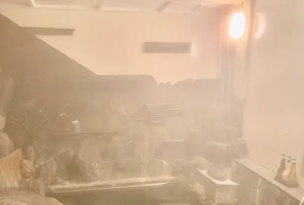 名泉鍵湯 奥津荘の写真・動画_image_486628