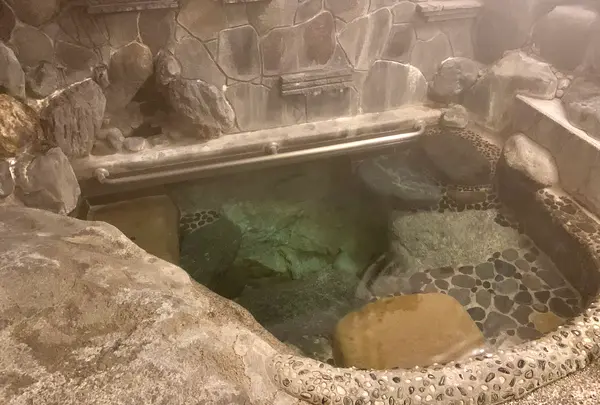 名泉鍵湯 奥津荘の写真・動画_image_486630