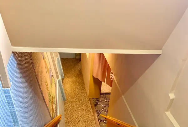 名泉鍵湯 奥津荘の写真・動画_image_486631