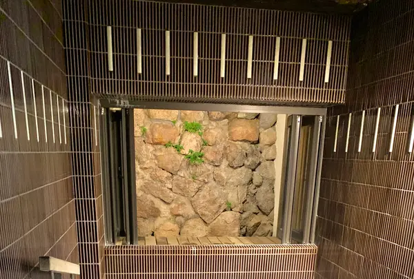 名泉鍵湯 奥津荘の写真・動画_image_486633