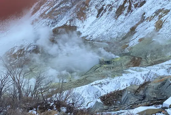 大涌谷の写真・動画_image_486718