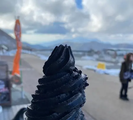 大涌谷の写真・動画_image_486719