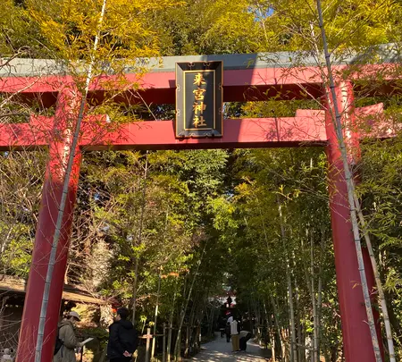 來宮神社の写真・動画_image_486767