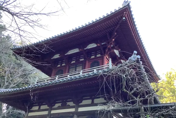 龍潭寺の写真・動画_image_486791
