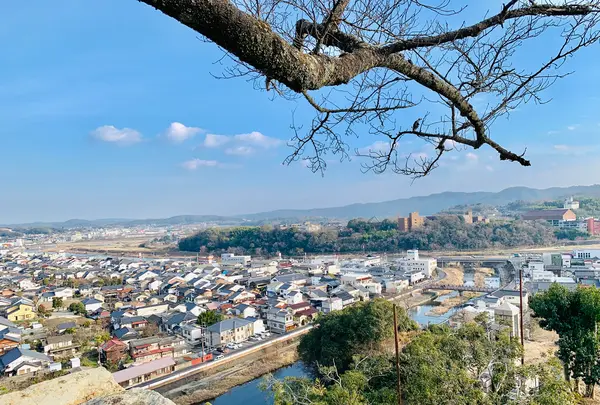 津山城跡の写真・動画_image_486949