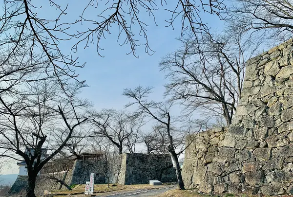 津山城跡の写真・動画_image_486954