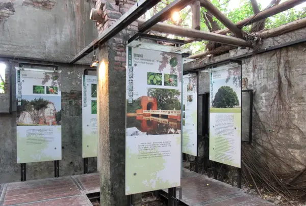 安平樹屋の写真・動画_image_487030