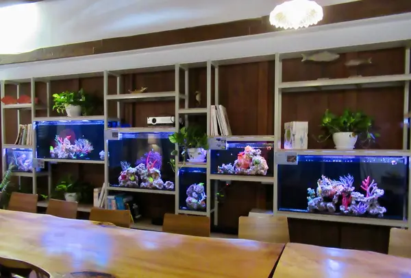 Old Julius Mannich Merchant Houseの写真・動画_image_487042