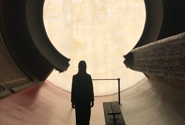 奈義町現代美術館の写真・動画_image_487126