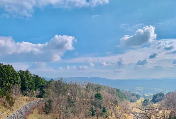 那岐山麓 山の駅の写真・動画_image_487150