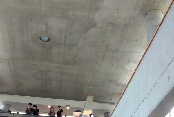 NINAO Gelato 蜷尾家 經典冰淇淋の写真・動画_image_487369