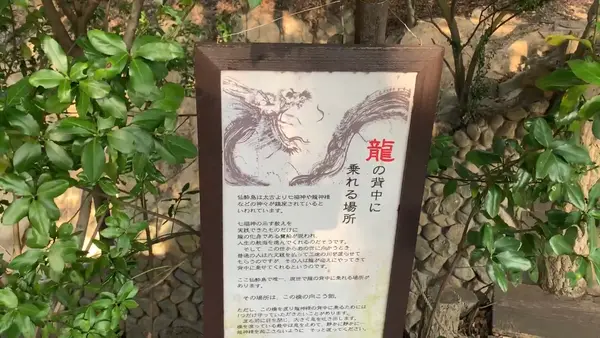 龍神橋の写真・動画_image_487497