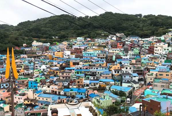 甘川洞文化村/カムチョンドンムナマウル/Gamcheon Culture Village/감천동문화마을の写真・動画_image_487604