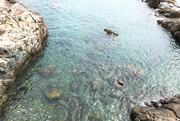 海東龍宮寺/へドンヨングンサ/해동용궁사の写真・動画_image_487621