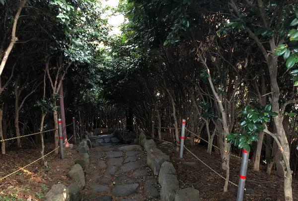 冬栢島(冬栢公園)/トンベッソム(トンベッコンウォン)/동백섬(동백공원)の写真・動画_image_487634
