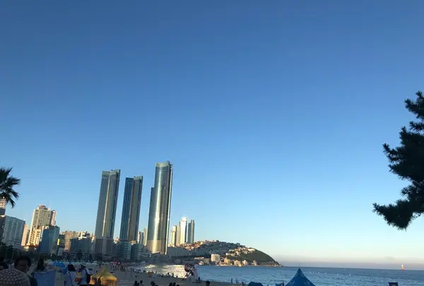 海雲台(ヘウンデ)ビーチ/해운대비치の写真・動画_image_487680