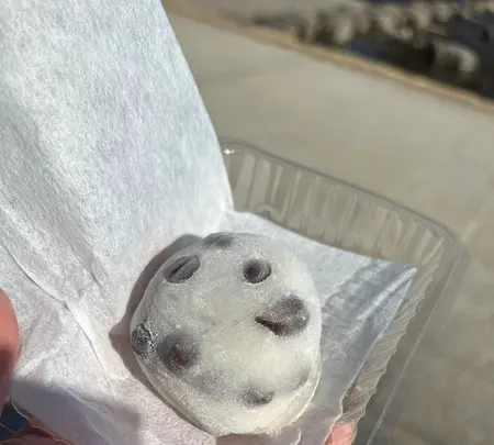 出町ふたばの写真・動画_image_487929