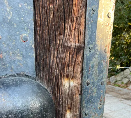京都御苑の写真・動画_image_487949
