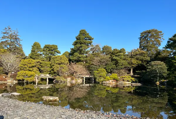 京都御所の写真・動画_image_487964
