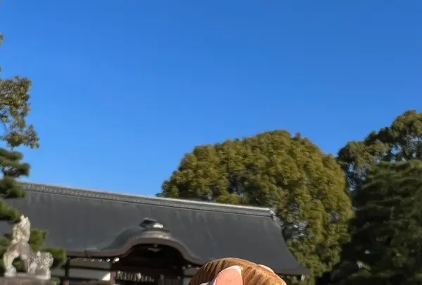 藤森神社の写真・動画_image_487992