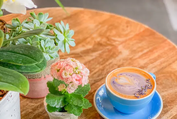 Remi Flower & Coffeeの写真・動画_image_488012