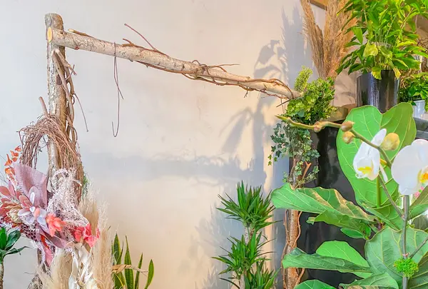 Remi Flower & Coffeeの写真・動画_image_488013