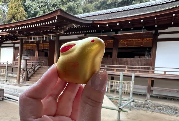 宇治上神社の写真・動画_image_488023