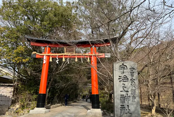 宇治上神社の写真・動画_image_488027