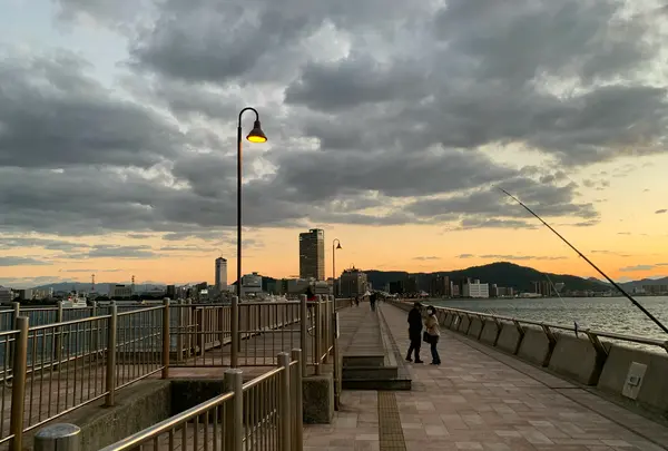 せとしるべの写真・動画_image_488084