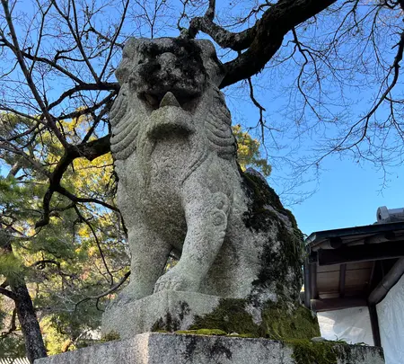 松尾大社の写真・動画_image_488105