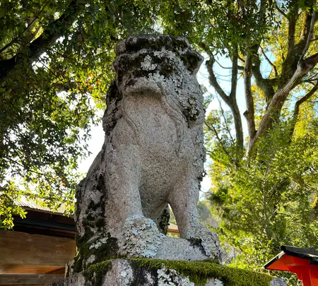 松尾大社の写真・動画_image_488106